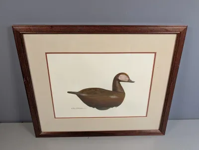 Sale Photo Thumbnail #10: Framed watercolor print of a duck decoy, signed by artist Paul A. Fiene in the lower left, presented in a matted dark wood frame.