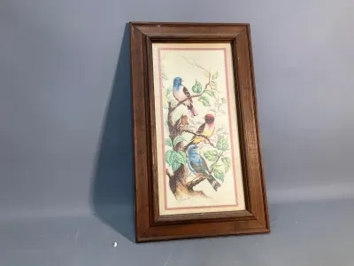 Sale Photo Thumbnail #145: Framed vintage print depicting colorful songbirds perched on tree branches, housed in a dark wooden frame.