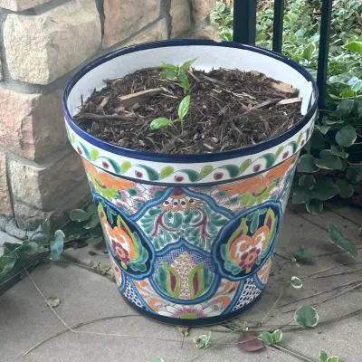 Sale Photo Thumbnail #76: G outdoor pots1