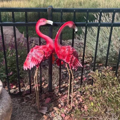 Sale Photo Thumbnail #74: G outdoor flamingos