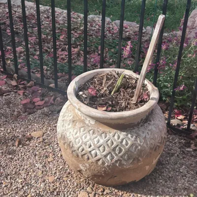 Sale Photo Thumbnail #75: G outdoor pots