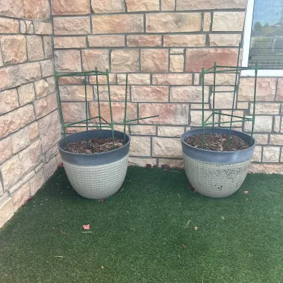 Sale Photo Thumbnail #77: G outdoor pots2
