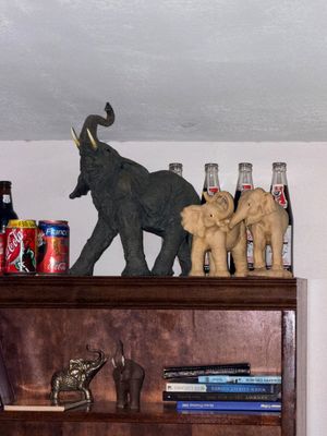 Sale Photo Thumbnail #37: Collection of elephant figurines displayed atop a wooden bookshelf alongside collectible soda cans and bottles.