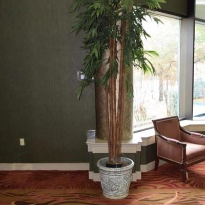 potted palms