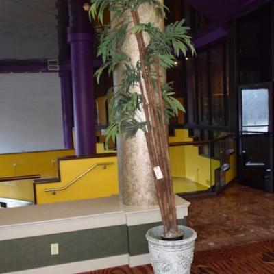 Pair Palms