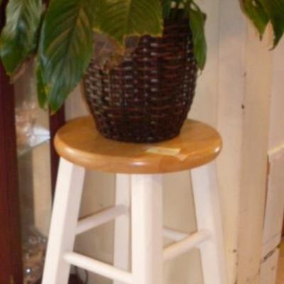 STOOL AD PLANTS