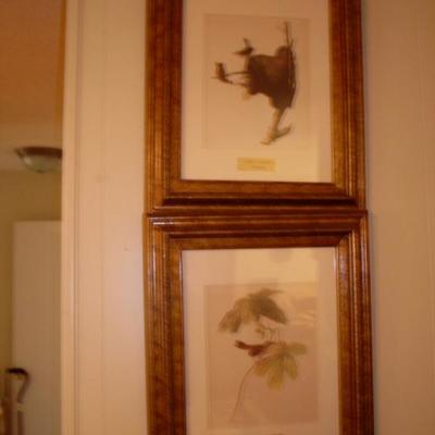 PRINTS