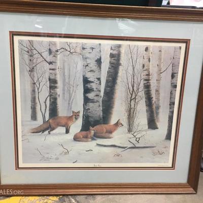 Fox picture