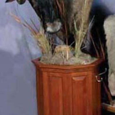 Wildebeest Mount