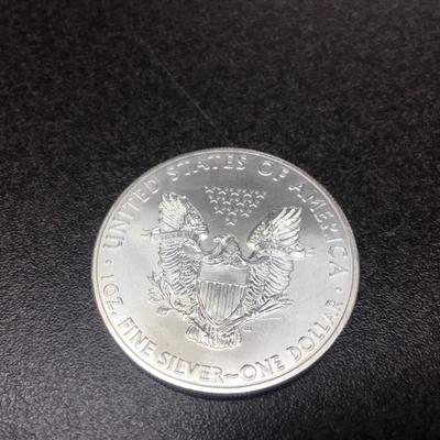 2015 Silver Eagle BU
