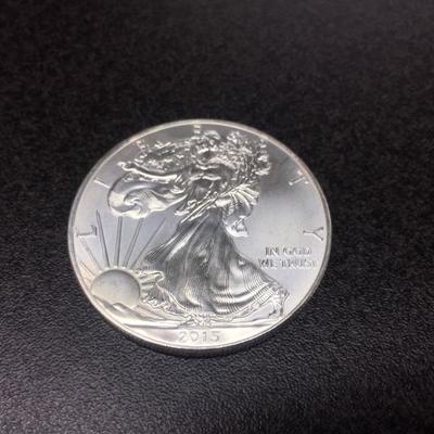 2015 Silver Eagle BU