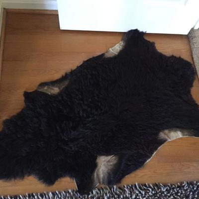 Bear Rug.