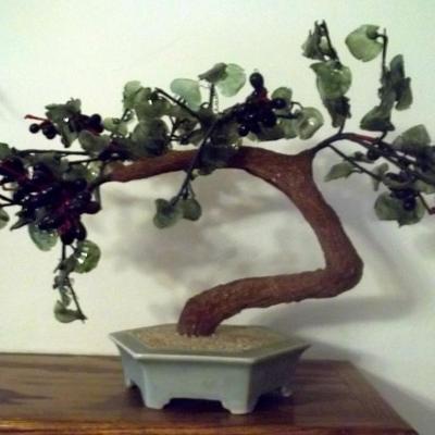 Jade Tree 