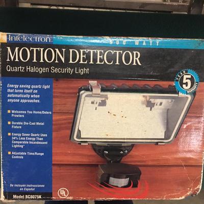 Motion security light