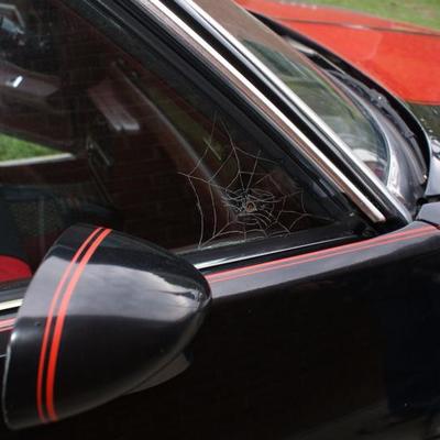 Etched Glass Spider Web