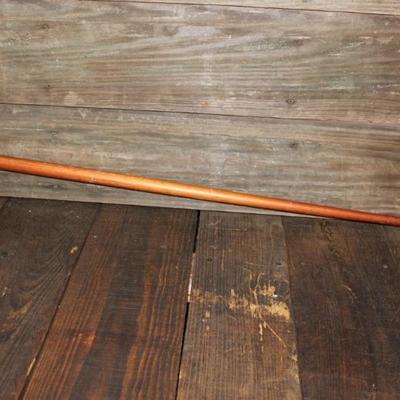 Horse walking cane