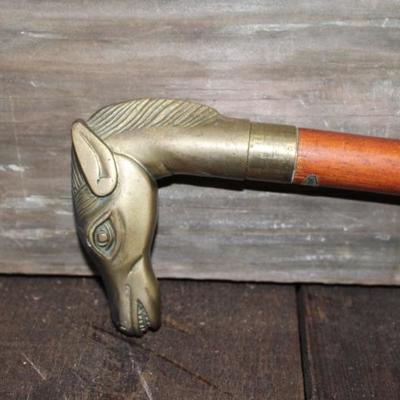 Horse walking cane