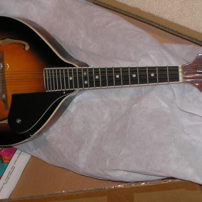 New Mandolin in box