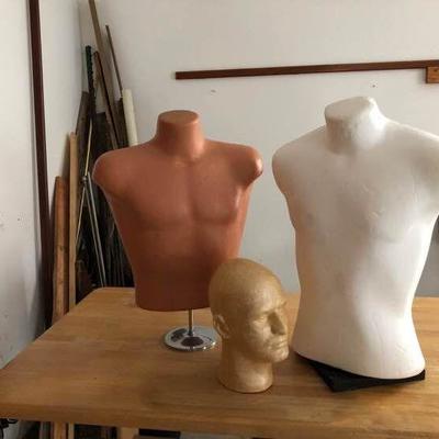 Male body parts. For display