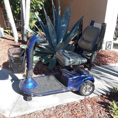 Companion scooter