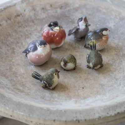 Cement bird baths and collectable birds.