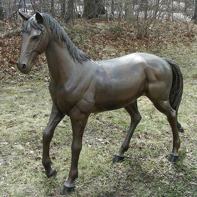 Lot #135