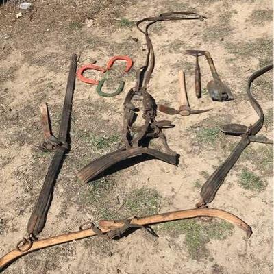 Horse Tack and Shoes Rustic Tools