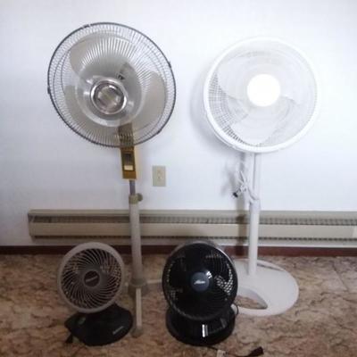 Fans, Fans, Fans