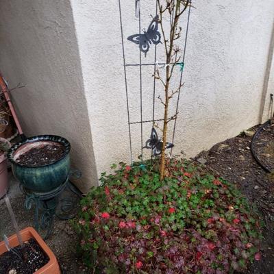 Lots of outdoor decor