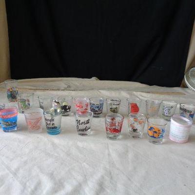 21 Shot Glasses