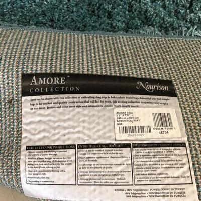 Aqua 5'3"x7'5" Shag Area Rug by Nourison (Amore Collection)