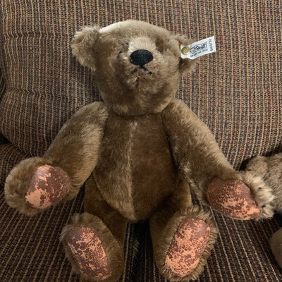 Strife bear