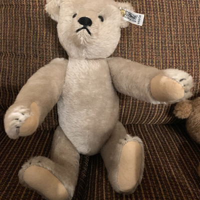 Strife bear