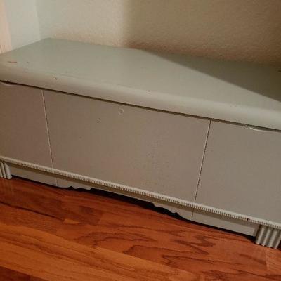 Handmade painted cedar chest 