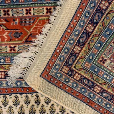 Hand Knotted Area Rug 