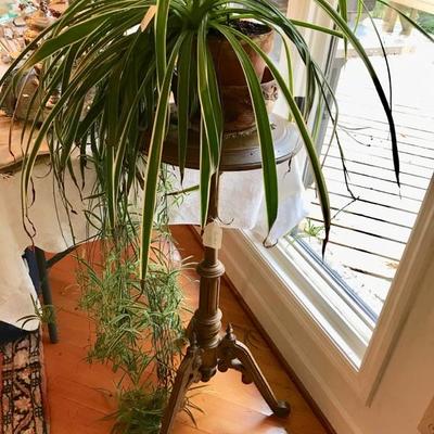 Antique plant stand $75