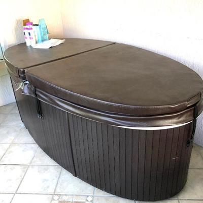 Fitness Leisure Oval Single-person Hot Tub - $875