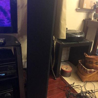 Pioneer speakers