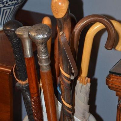 Great Selection of Walking Sticks