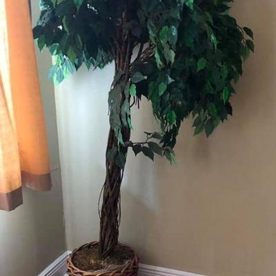 PA029 Artificial Plant $20 .
We will not hold unless Paid for
Venmo @Rafael-Monzon-1
PayPal: Agesagoestatesales@gmail.com
Facebook...