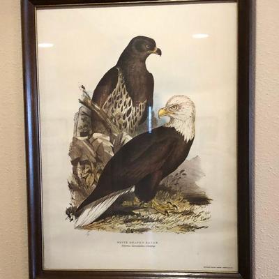 https://www.ebay.com/itm/114226833440	BU1074: White Head Eagle Framed Plate Local Pickup	 $75 
