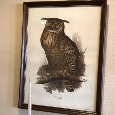 https://www.ebay.com/itm/114226832154	BU1073 Eagle Owl Pint Framed Plate Local Pickup	 $75 
