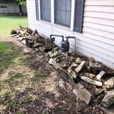 Petrified wood