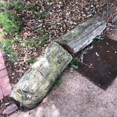 Petrified wood logs