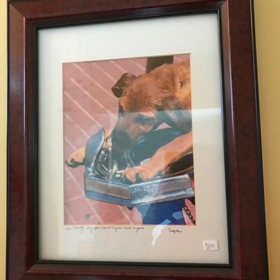 Photo of dog $20