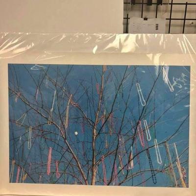 https://www.ebay.com/itm/114243808828	Cma2082: Vintage Poster of a Photograph of a Tree with Mardi Gras Beads	 $15.00 
