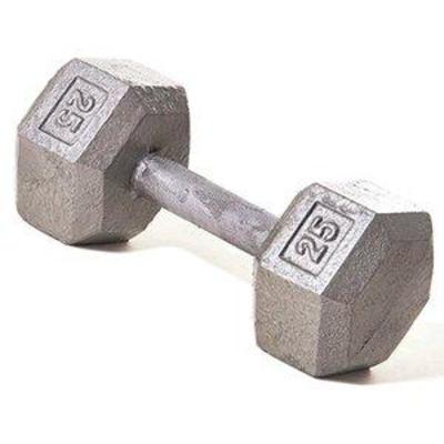 Champion Barbell 25 lb Solid Hex Dumbbell