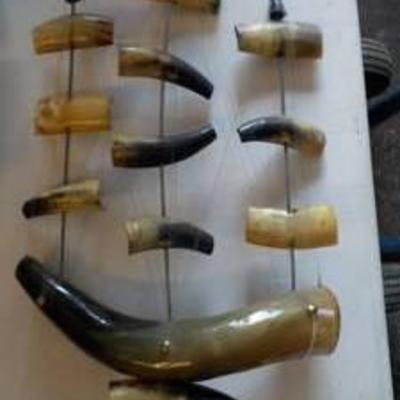 Boat made from animal horns