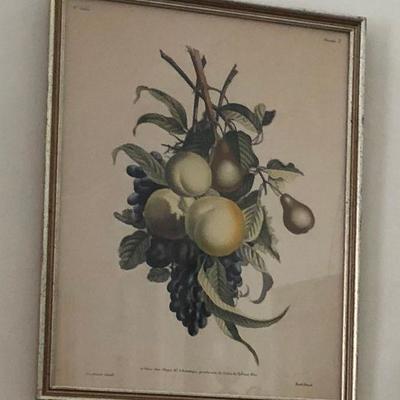 PR2074A https://www.ebay.com/itm/114314552107 PR2074A Colored Print of Fruit, J. L. Prevost invenit, Ruotte Direxil Local Pickup #1...