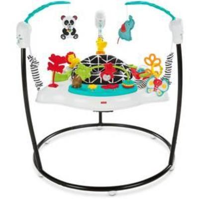 Fisher-Price Animal Wonders Jumperoo